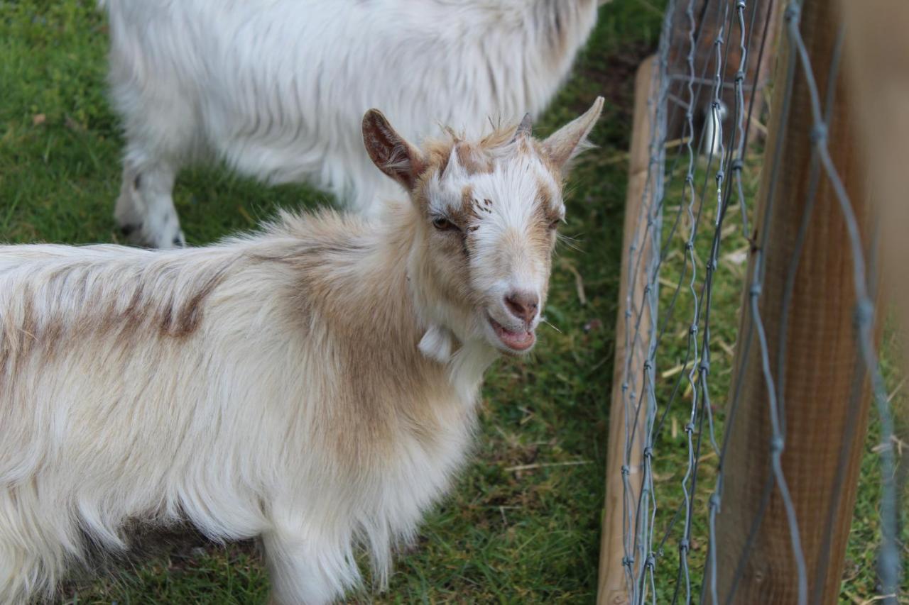 Crouy-sur-Cosson Ferme Des Poulardieresヴィラ エクステリア 写真