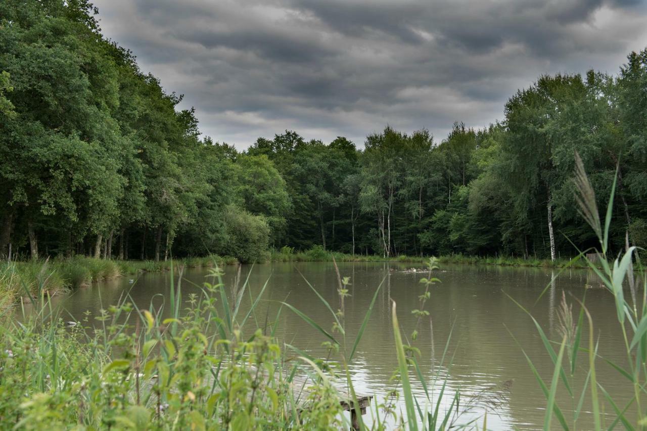 Crouy-sur-Cosson Ferme Des Poulardieresヴィラ エクステリア 写真