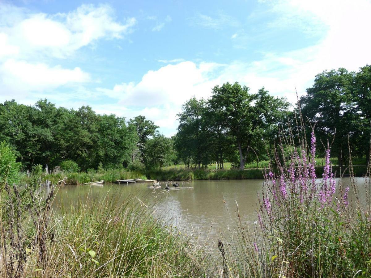 Crouy-sur-Cosson Ferme Des Poulardieresヴィラ エクステリア 写真