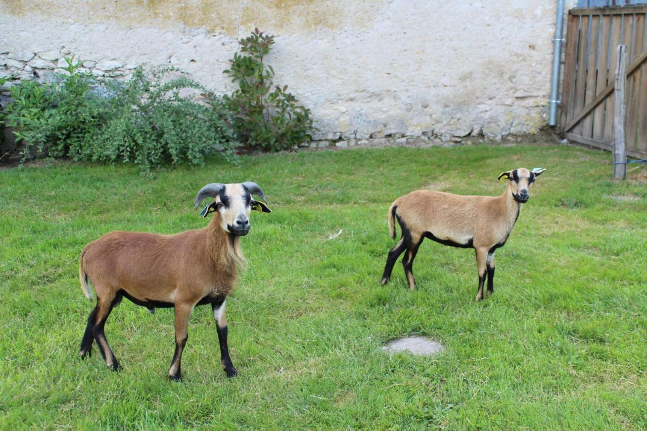 Crouy-sur-Cosson Ferme Des Poulardieresヴィラ エクステリア 写真